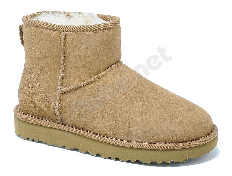 ugg boots mini chestnut