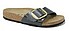 Birkenstock Madrid Big Buckle Licorice Gold