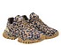 JOIA PARIS 202602118 claw animalier Seite