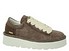 Panchic P003 Muse Lace Up braun